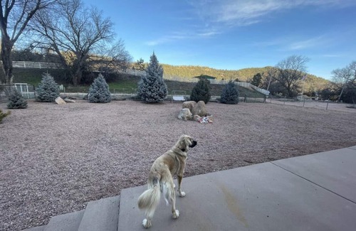 Payson Maison | The Happy Place - Acre - Fenced Yard - Creek Permit #STR24-03