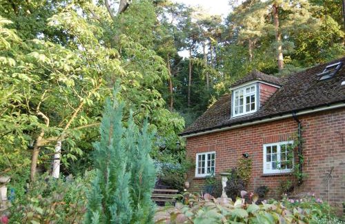 Sunninghill Appartement | The Haven at Talysarn
