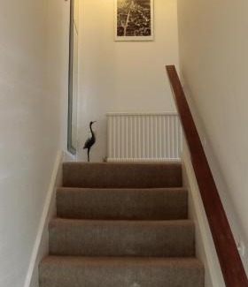 Sunninghill Appartement | The Haven at Talysarn