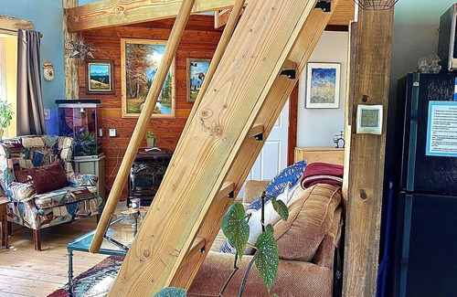 Palmer Lake Cabine | The Hen House: Near USAFA & Renaissance Festival