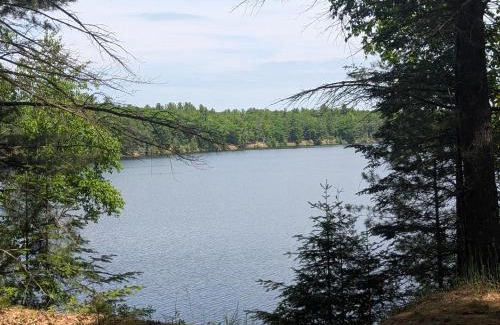 Oscoda Maison | The Hideout - Cute And Quiet Rustic Cabin!