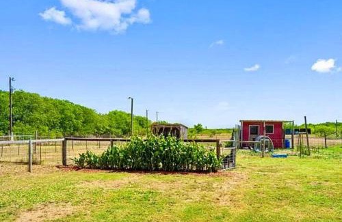 Maxwell Maison | The Home Fed Homestead