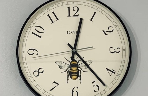 Bungay Cabine | The Honeypot Cottage - Town Center Location