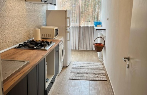 Dorobanti Appartement | The House in The Park