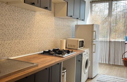 Dorobanti Appartement | The House in The Park