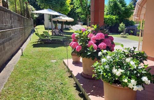 Stiava Maison | The House of Citrus - amazing country house near Viareggio beach and Lucca