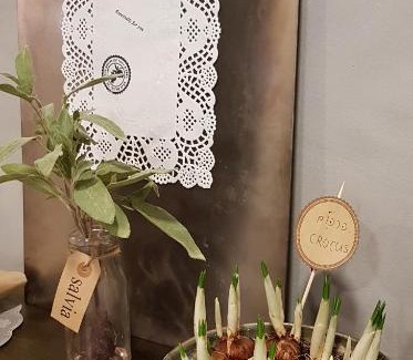 Netaim Hôtel | The House of Taly & Erez