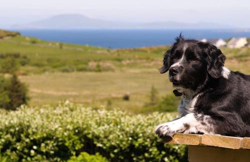 Tullycross Appartement | The Hut at Baywatch Bed & Breakfast