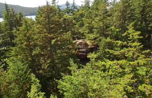 Rosario Maison | The Island Treehouse