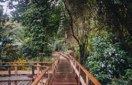 Good Living Camp Maison | Private Rainforest Cabana - taxes d'hôtel incluses!
