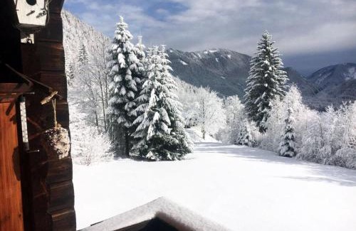 Ferlach Maison | The Karl Anton Hütte
