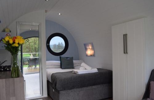 Llandovery Autre | The Kingfishers Burrow