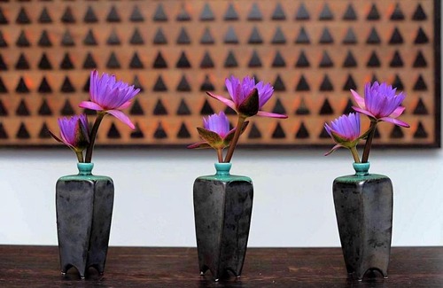 Anuradhapura Hôtel | The Lake Forest Hotel