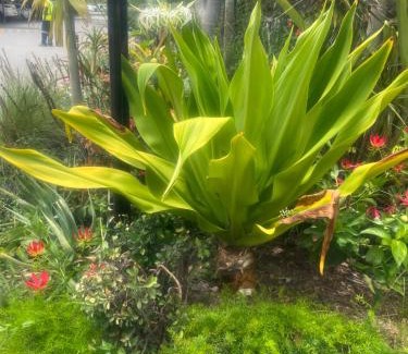 Emalahleni Appartement | The light guesthouse