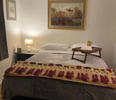 Lovelock Cabine | The Link Vintage Motel #2 Lovely Studio