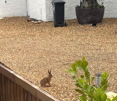 Mynydd Isa Appartement | The Little Bitty Farm Lodge