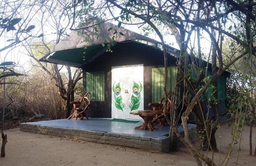 Palatupana Autre | The Little Gecko camping lodge