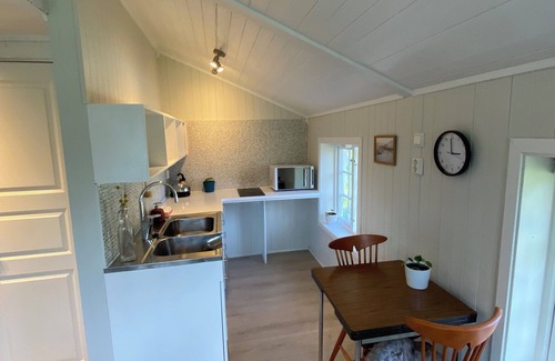 Barstrand Cabine | The Little Red Cabin Lofoten