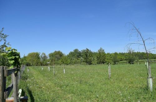 Pershore Maison | The Lodge At Elmley Meadow