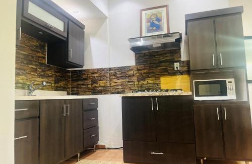 Gobernador Pinero Appartement | The Loft in San Juan