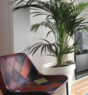 Bairro Alto Appartement | The Lookout Duplex - Bairro Alto