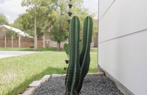 Cuero Maison | The Main St House-Charming 2-bedroom home, fitness room in peaceful Cuero