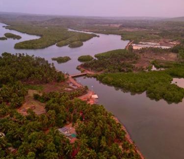Devgad Hôtel | The Mangrove