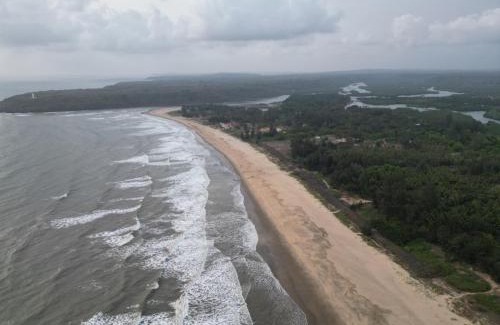 Devgad Hôtel | The Mangrove