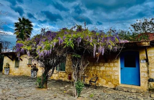 Yesod HaMa'ala Cabine | THE MANSION in yesod hamaala