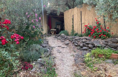 Kfar Hoshen Maison | the Meshushe