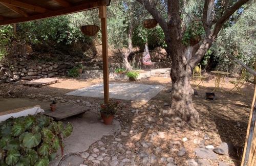Kfar Hoshen Maison | the Meshushe
