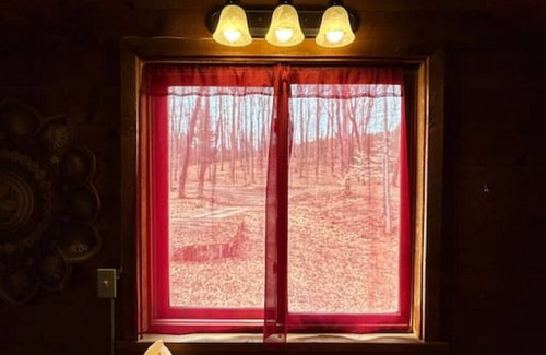 Le Roy Cabine | The Mother Lodge - Cozy Cabin on the Creek