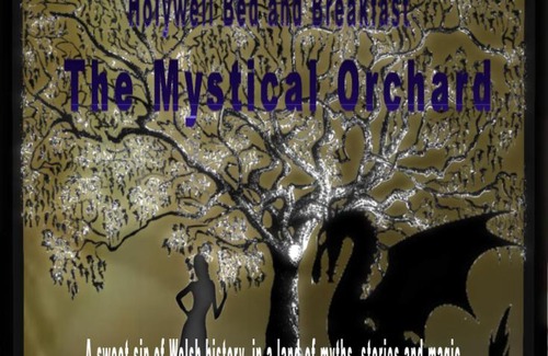 Treffynnon Lit Et Petit-Déjeuner | The Mystical Orchard