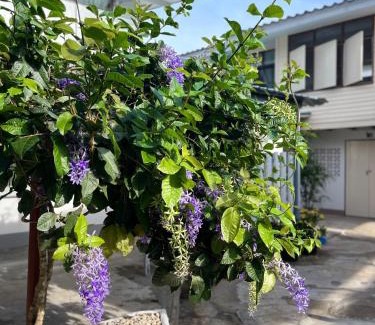 Chanthaburi Maison | The Neighbors