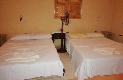Siwa Maison | The Nest