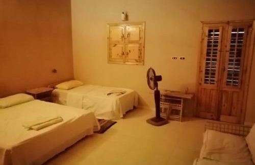 Siwa Maison | The Nest