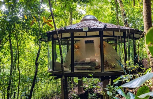 Dominical Copropriété | The Nest Unique Jungle Retreat