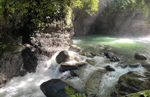 Dominical Copropriété | The Nest Unique Jungle Retreat