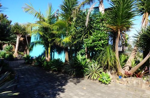 Waiheke Island Appartement | The Nikau Loft