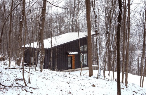 Mifflintown Cabine | The Nordic Nook - Modern Cabin w/EV Charger