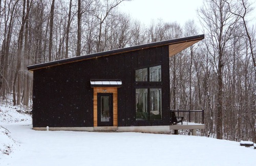 Mifflintown Cabine | The Nordic Nook - Modern Cabin w/EV Charger