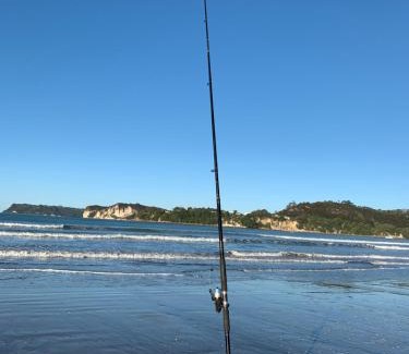 Whitianga Hôtel | The Oceanside Motel