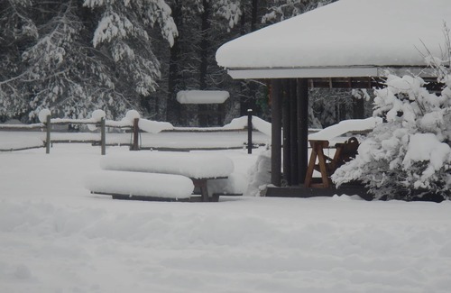 Trout Creek Cabine | "The Old Homestead" Une cabine d'origine Homestead