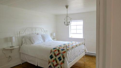 Fogo Maison | The Old Salt Box Co. - Mary's Place