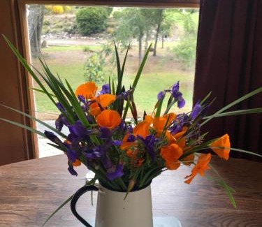 Reefton Maison | The Old Vicarage