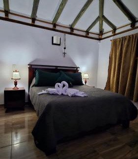 Villa de Leyva Maison | The olive tree