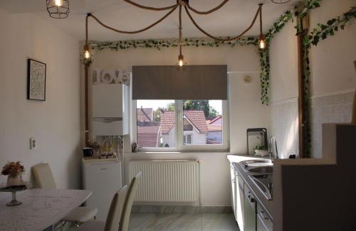 Tasnad Appartement | The One Apartments
