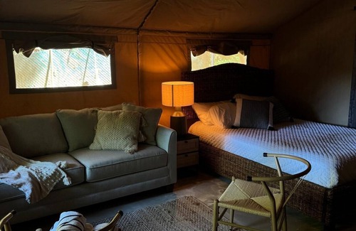 Rio Piedras Lit Et Petit-Déjeuner | The ONLY glamping site in the New Millennium Forest in San Juan, PR