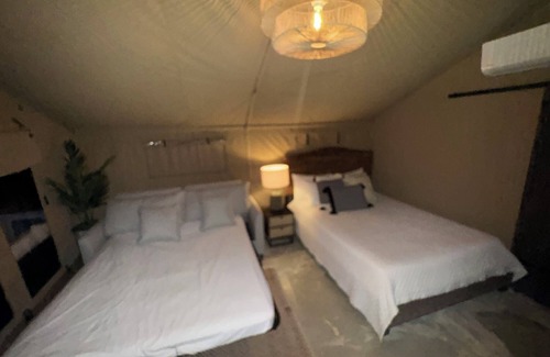 Rio Piedras Lit Et Petit-Déjeuner | The ONLY glamping site in the New Millennium Forest in San Juan, PR