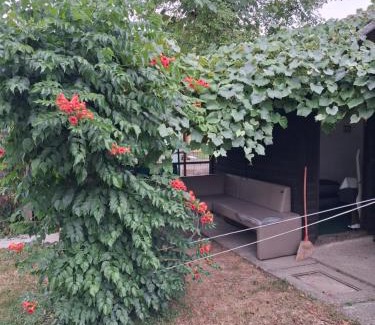 Ljubljana Autre | THE ONLY Ljubljana river run with a water float adventure and a adrenaline packed bicycle ride to a nearby hill Rasica for an amazing view of entire Slovenia with a stay in a romantic private garden house room and outdoor apartment PERSONAL GUIDANCE